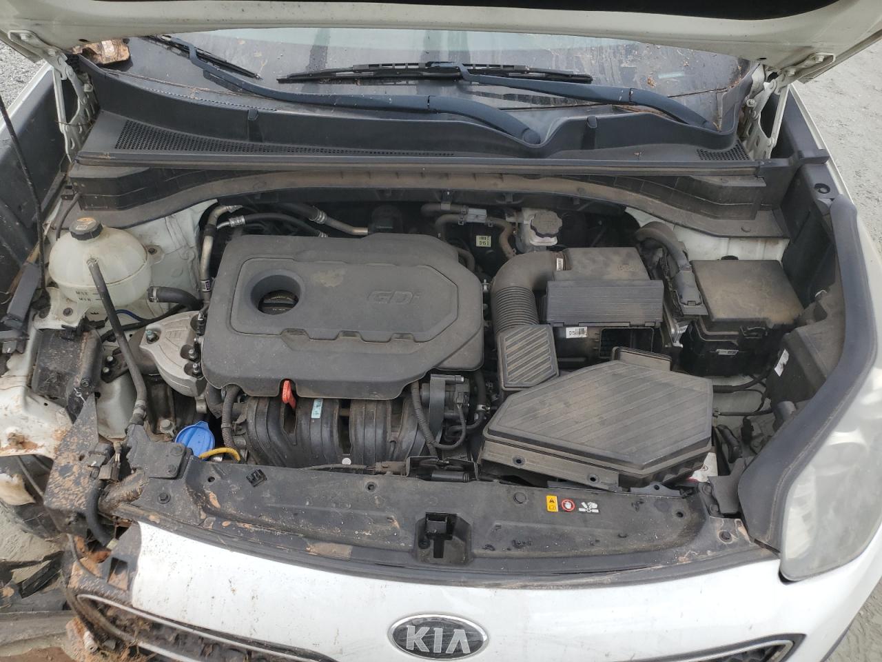 2019 Kia Sportage Lx VIN: KNDPM3AC3K7562448 Lot: 82300005