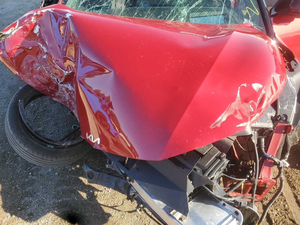 2024 Kia Ev6 Gt VIN: KNDC5DLE6R5206243 Lot: 85372605