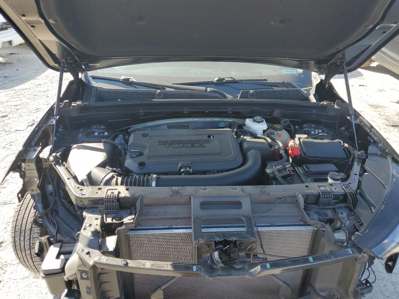 2023 Buick Envision Essence VIN: LRBFZNR41PD077982 Lot: 81801215