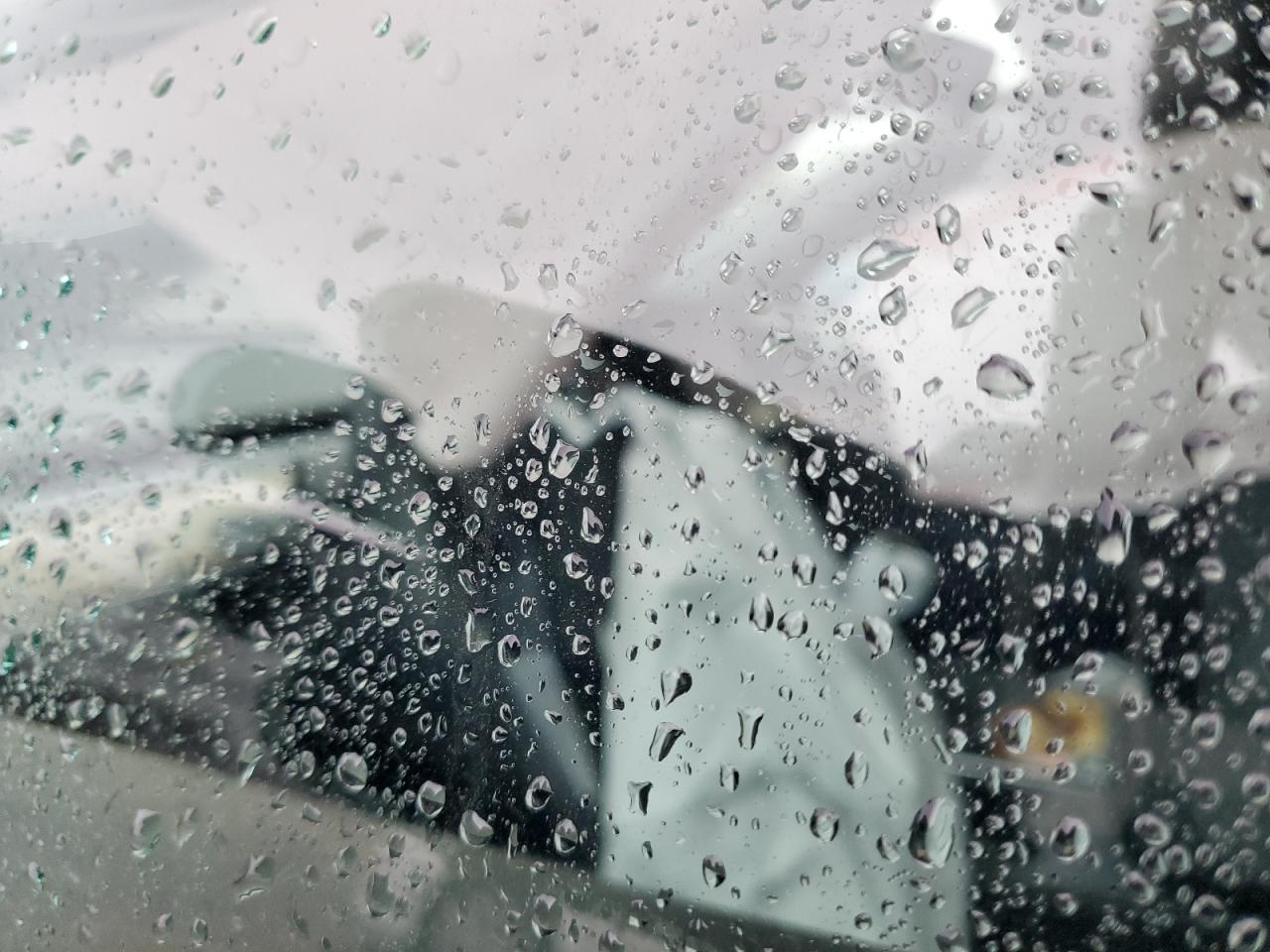 2023 Tesla Model Y VIN: 7SAYGDEE8PA042339 Lot: 86499205