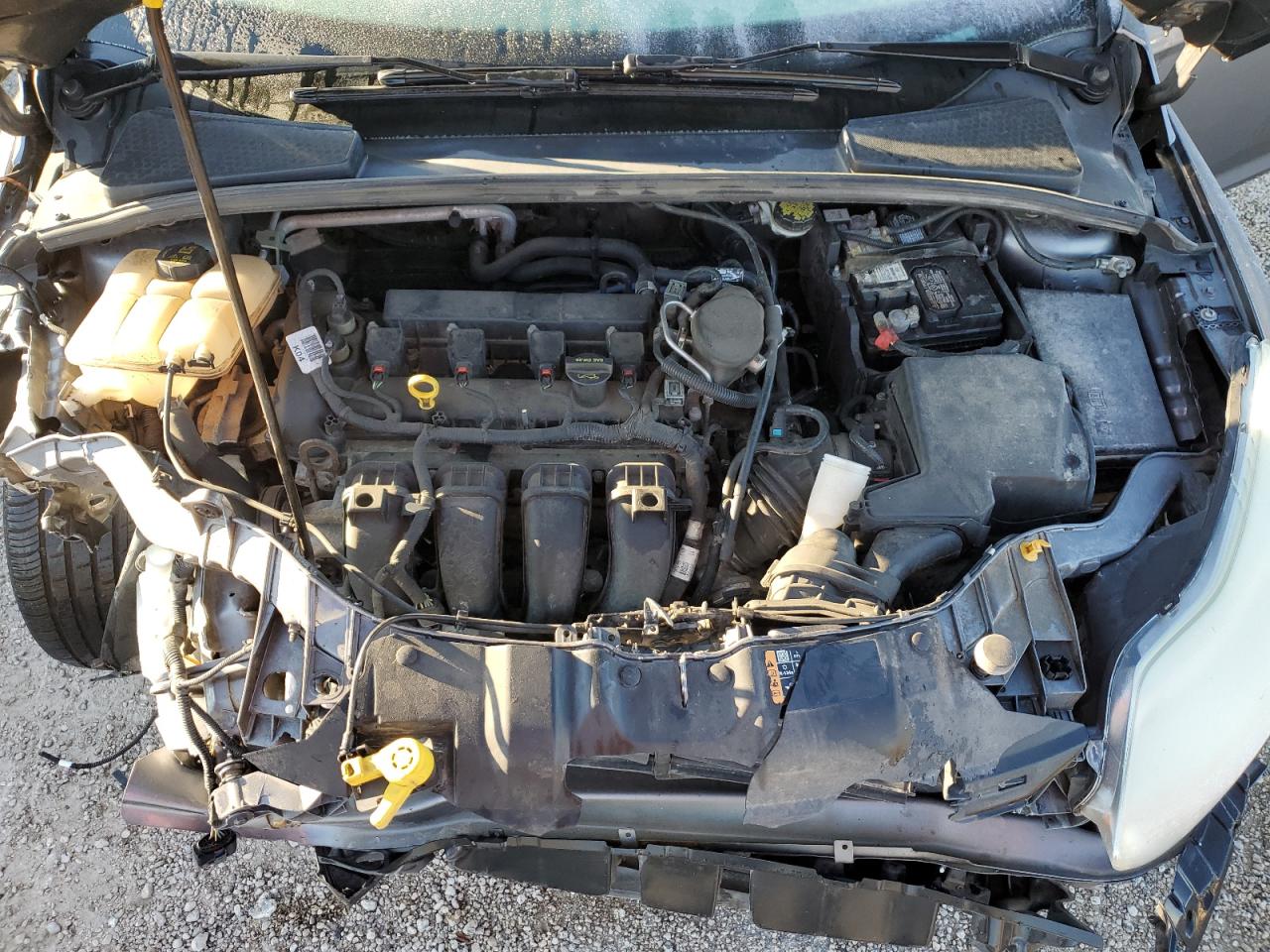 2014 Ford Focus Se VIN: 1FADP3F22EL331147 Lot: 82644805