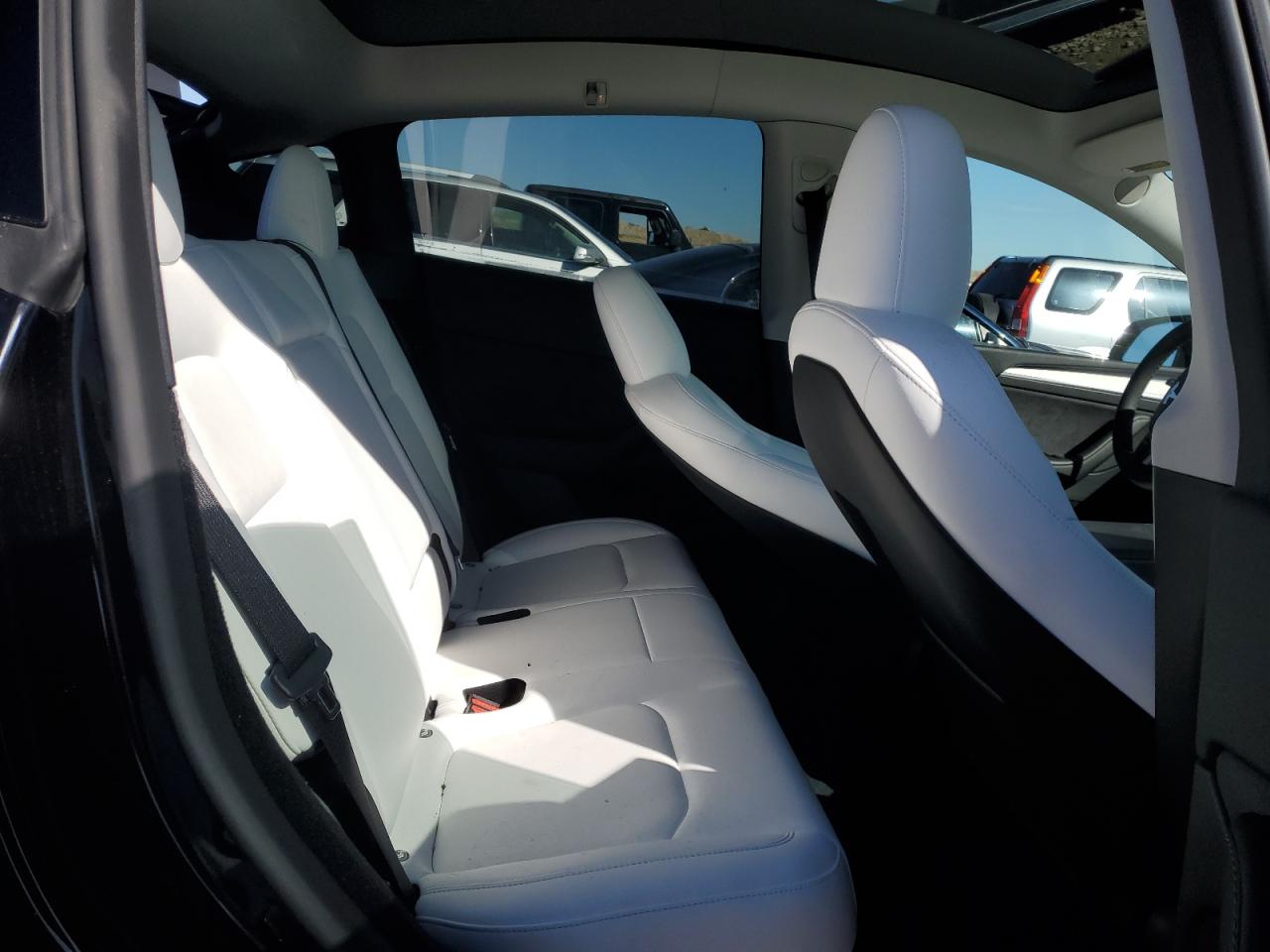 2024 Tesla Model Y VIN: 7SAYGDEE1RF156608 Lot: 81330705