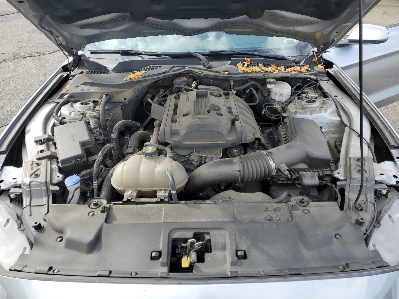 2020 Ford Mustang VIN: 1FA6P8TH9L5167475 Lot: 82212625