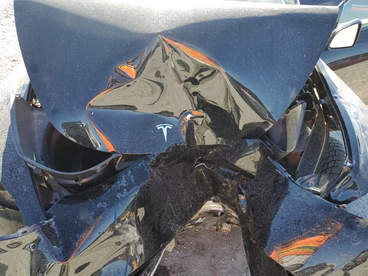 2023 Tesla Model Y VIN: 7SAYGDEE6PA213542 Lot: 84751675