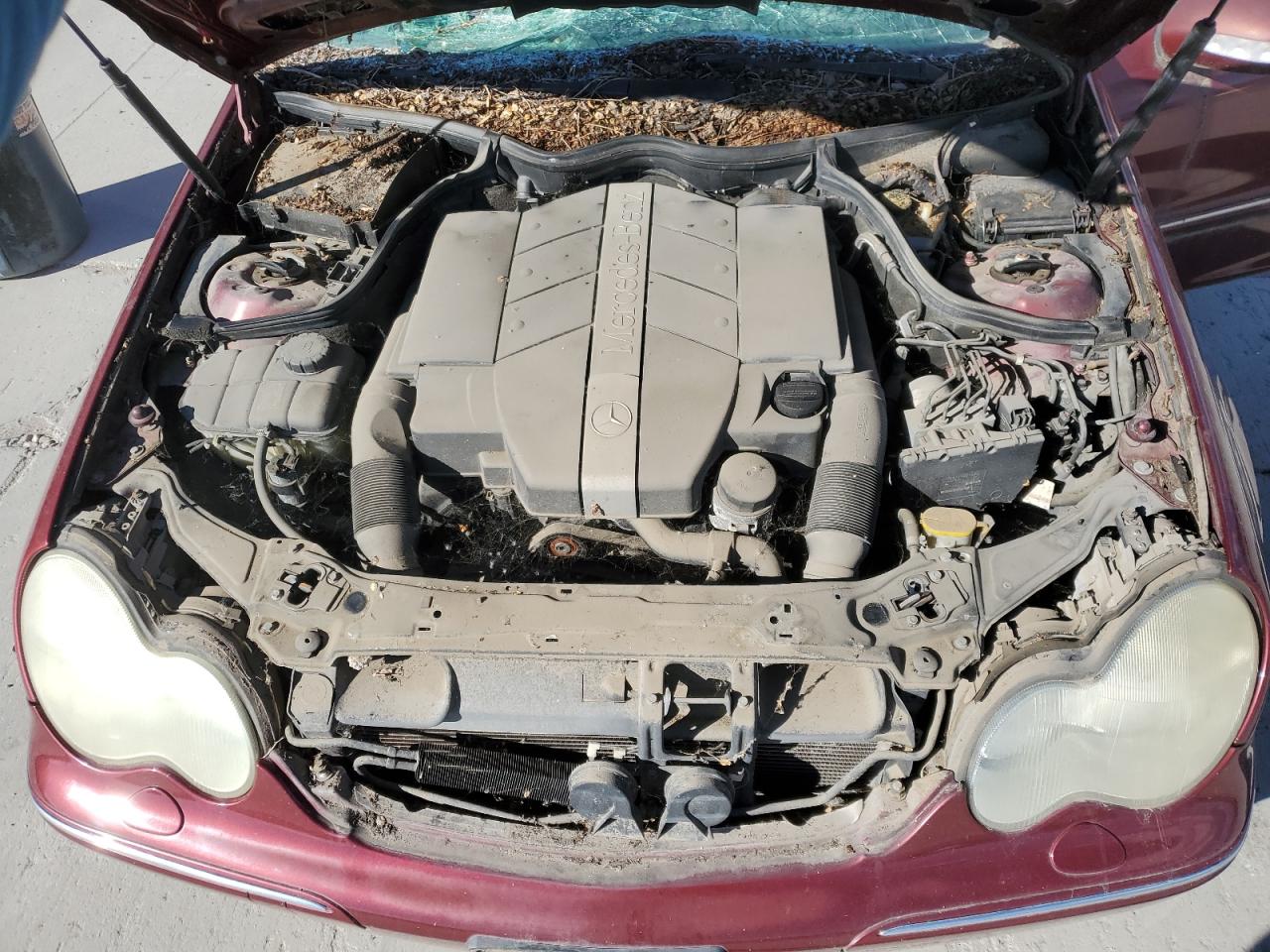 2001 Mercedes-Benz C 240 VIN: WDBRF61J21F019582 Lot: 89659965