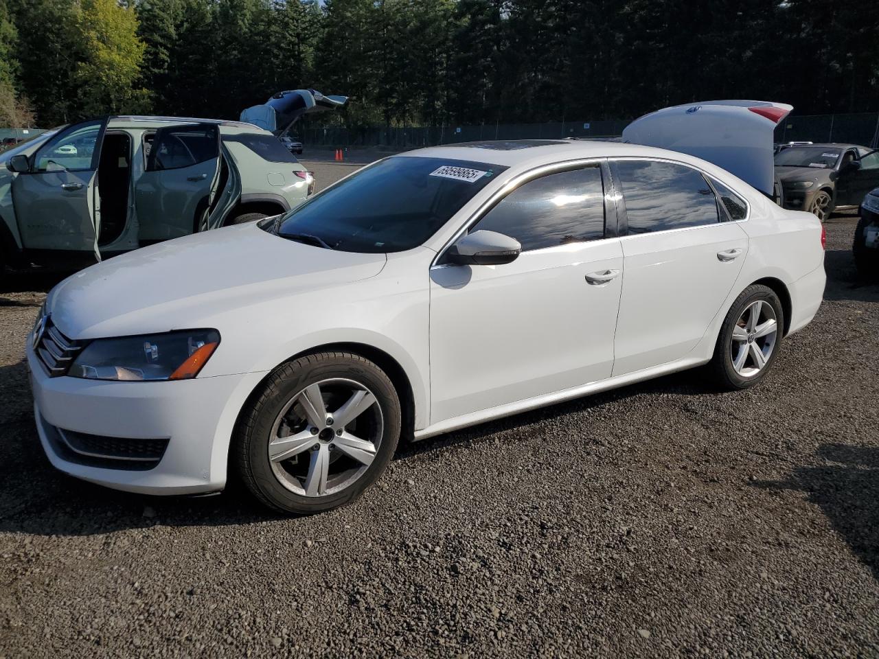 2012 Volkswagen Passat Se