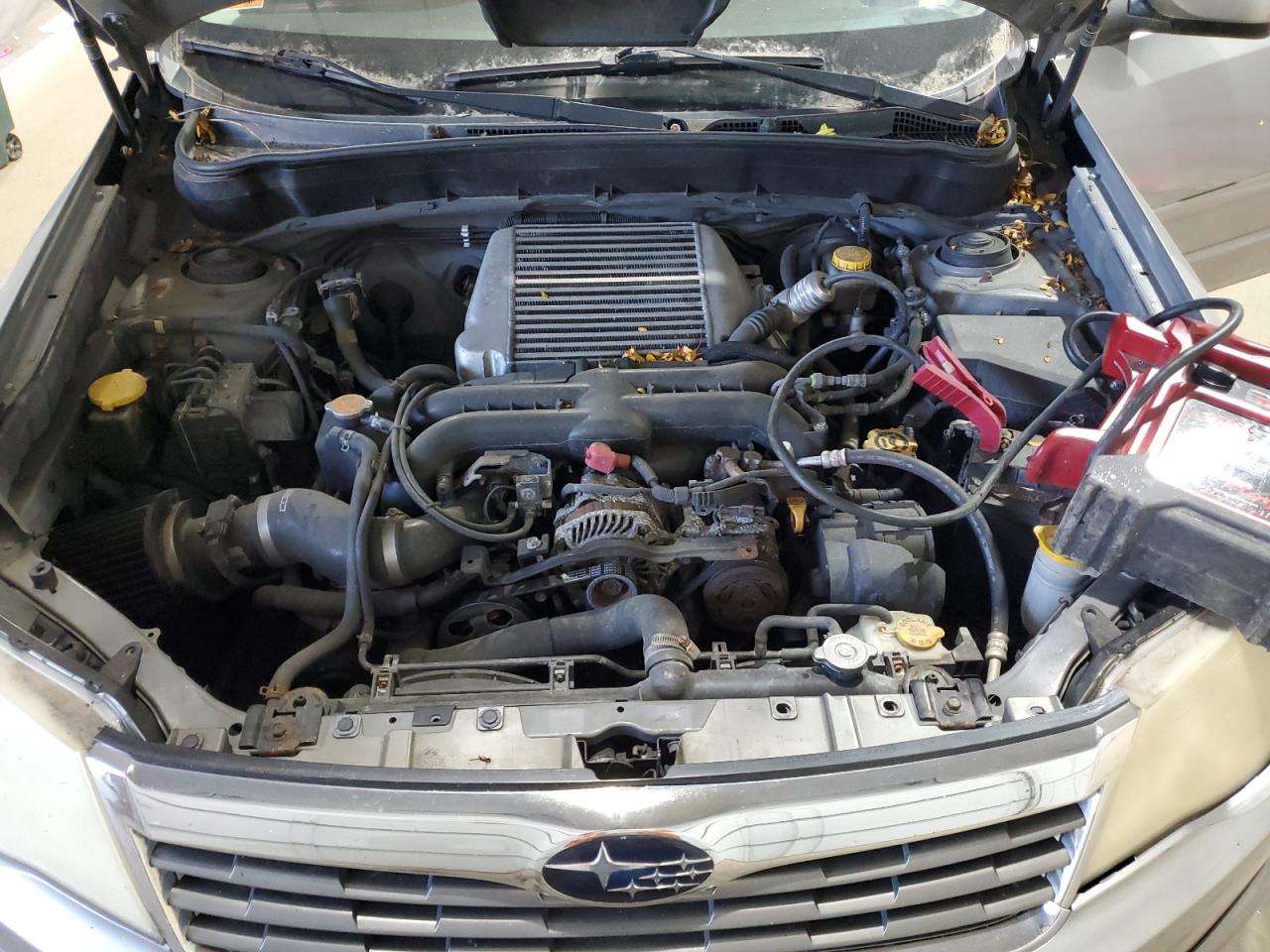 2009 Subaru Forester 2.5Xt Limited VIN: JF2SH66619H767890 Lot: 81993465