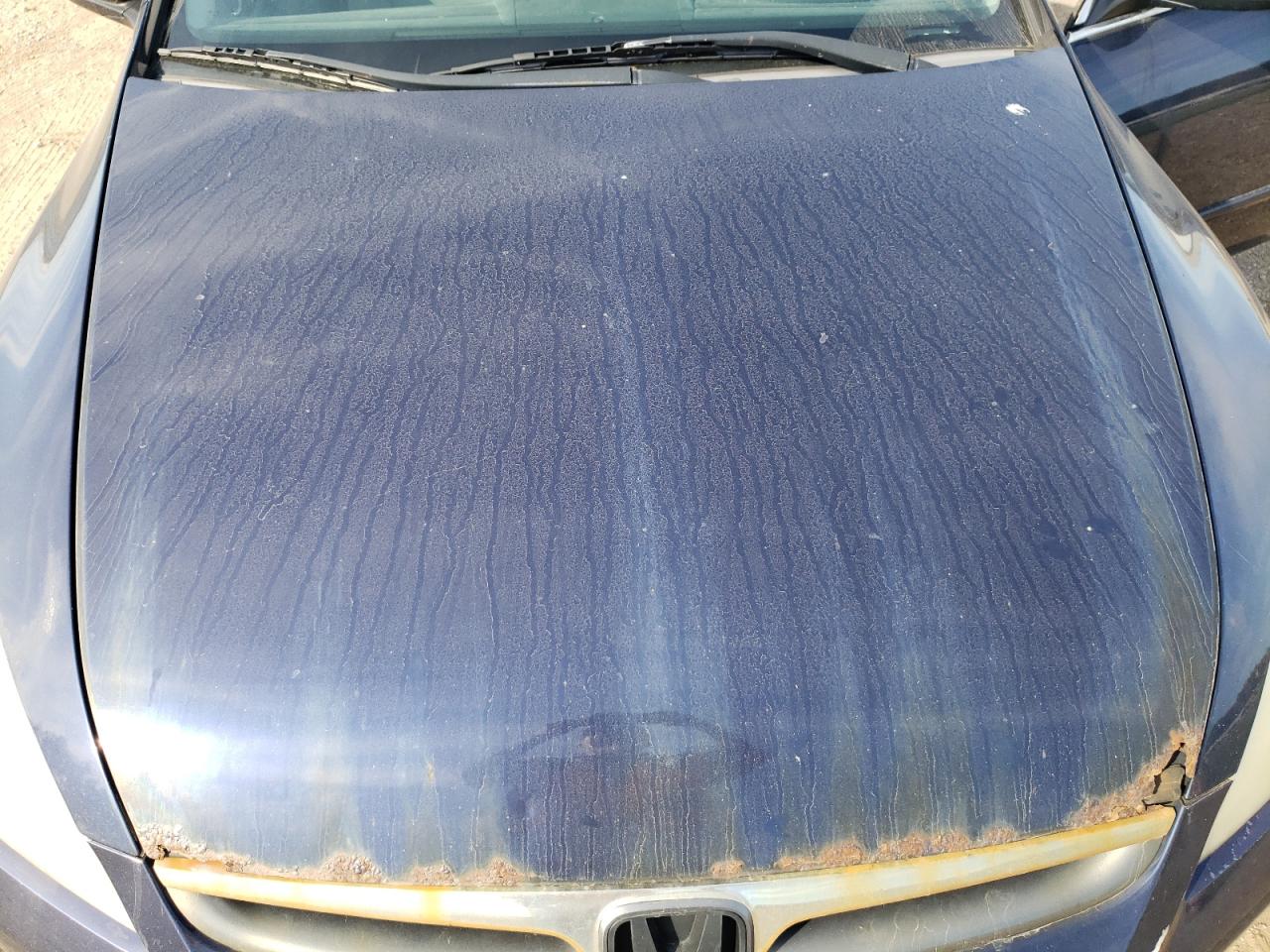 2007 Honda Accord Lx VIN: 1HGCM56417A079483 Lot: 85097445