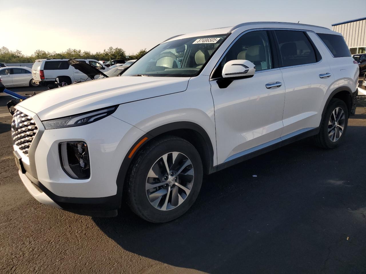 HYUNDAI PALISADE 2021. Lot# 87486505. VIN KM8R2DHE2MU228617. Photo 1