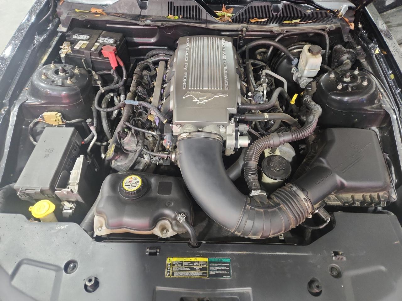 2010 Ford Mustang Gt VIN: 1ZVBP8CHXA5136111 Lot: 90316285