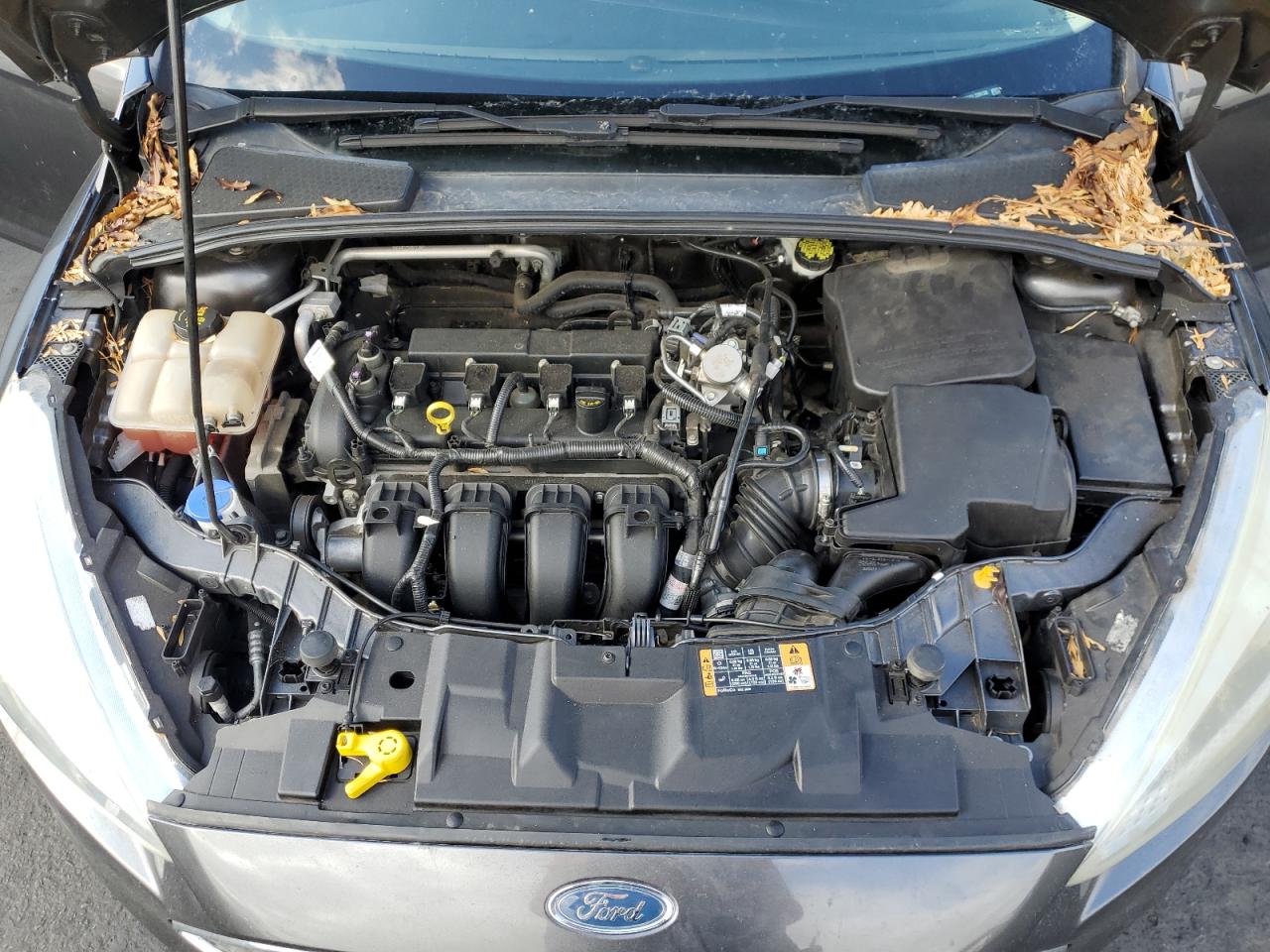 2016 Ford Focus Se VIN: 1FADP3K22GL339130 Lot: 82279995