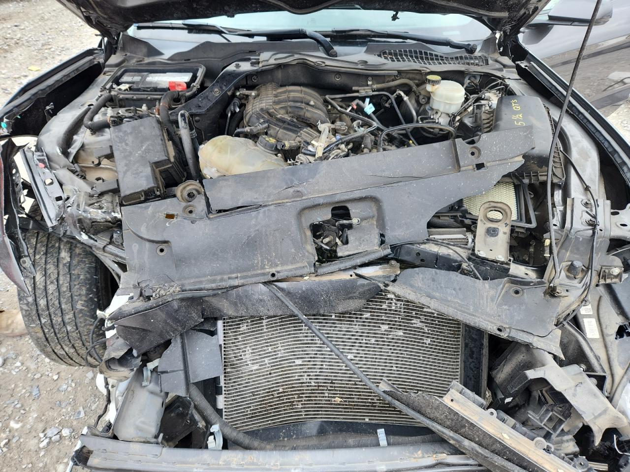 2015 Ford Mustang VIN: 1FA6P8AM8F5362228 Lot: 89670215