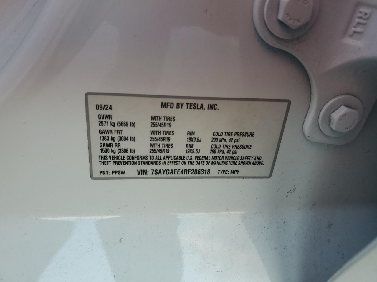 2024 Tesla Model Y VIN: 7SAYGAEE4RF206318 Lot: 89857895