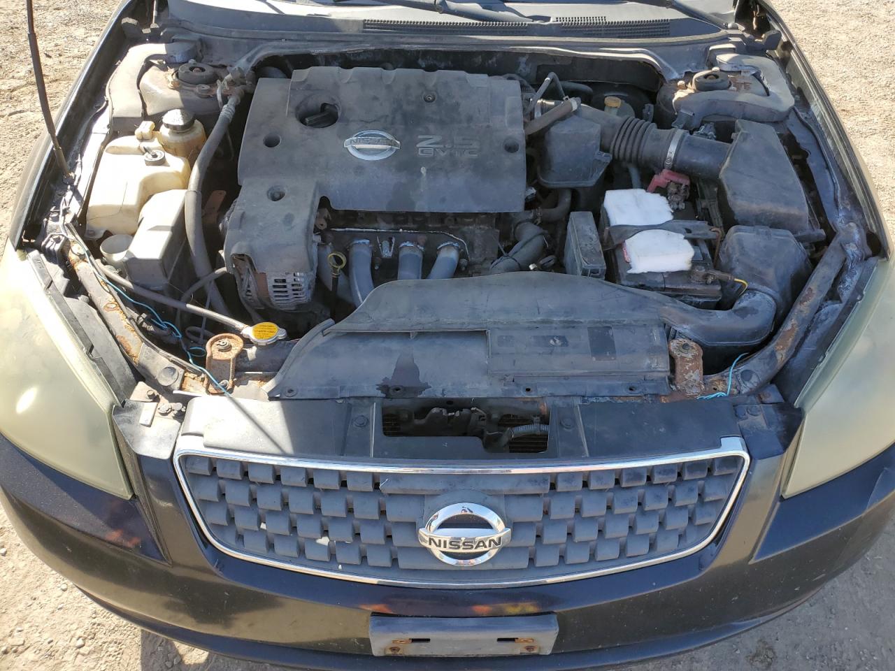 2005 Nissan Altima S VIN: 1N4AL11DX5C144041 Lot: 81994005