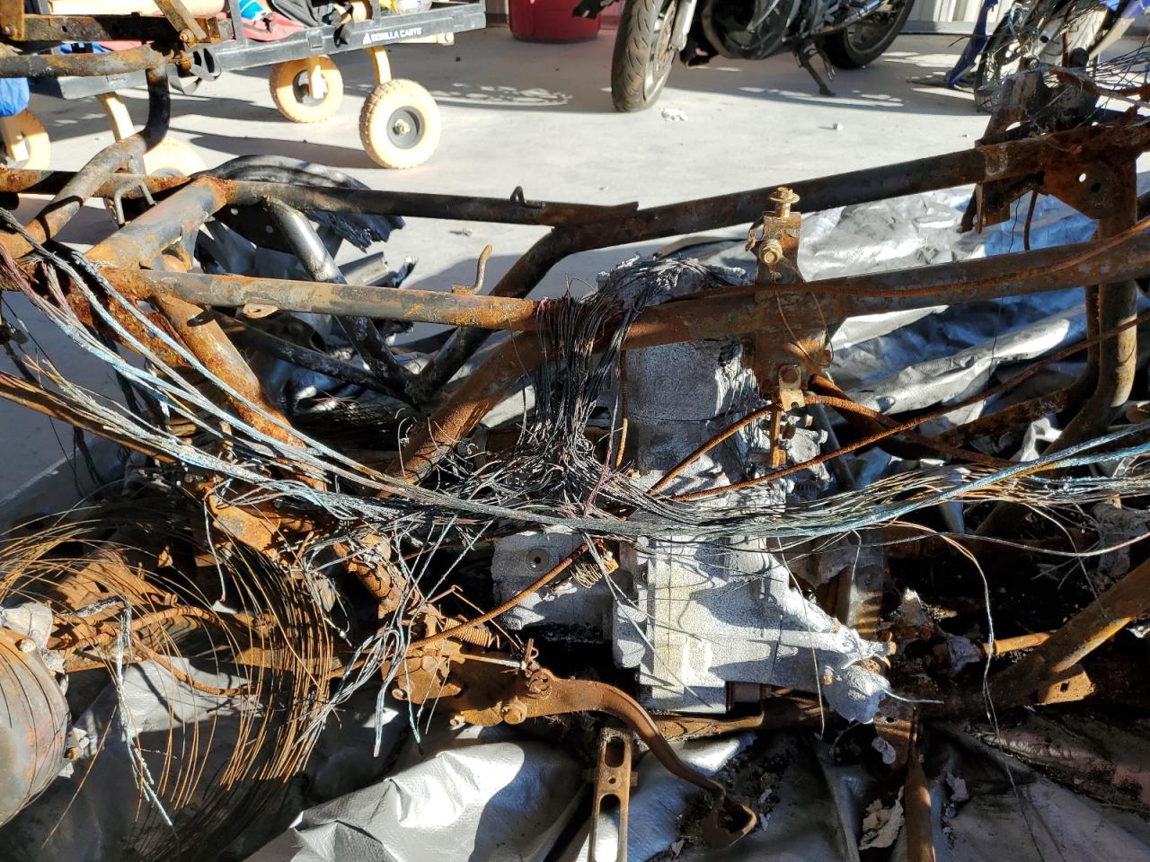 2024 Honda Trx420 Fm VIN: 1HFTE4001RJ001760 Lot: 84874135