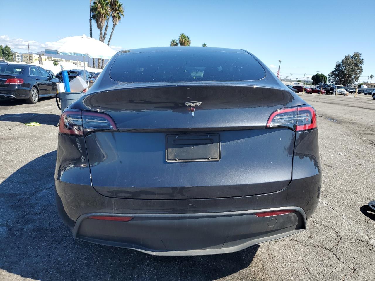 2025 Tesla Model Y VIN: 7SAYGDED6SF243952 Lot: 85943965