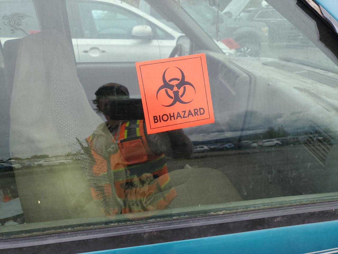 1996 Chevrolet S Truck S10 VIN: 1GCCS19X6T8143781 Lot: 85875685