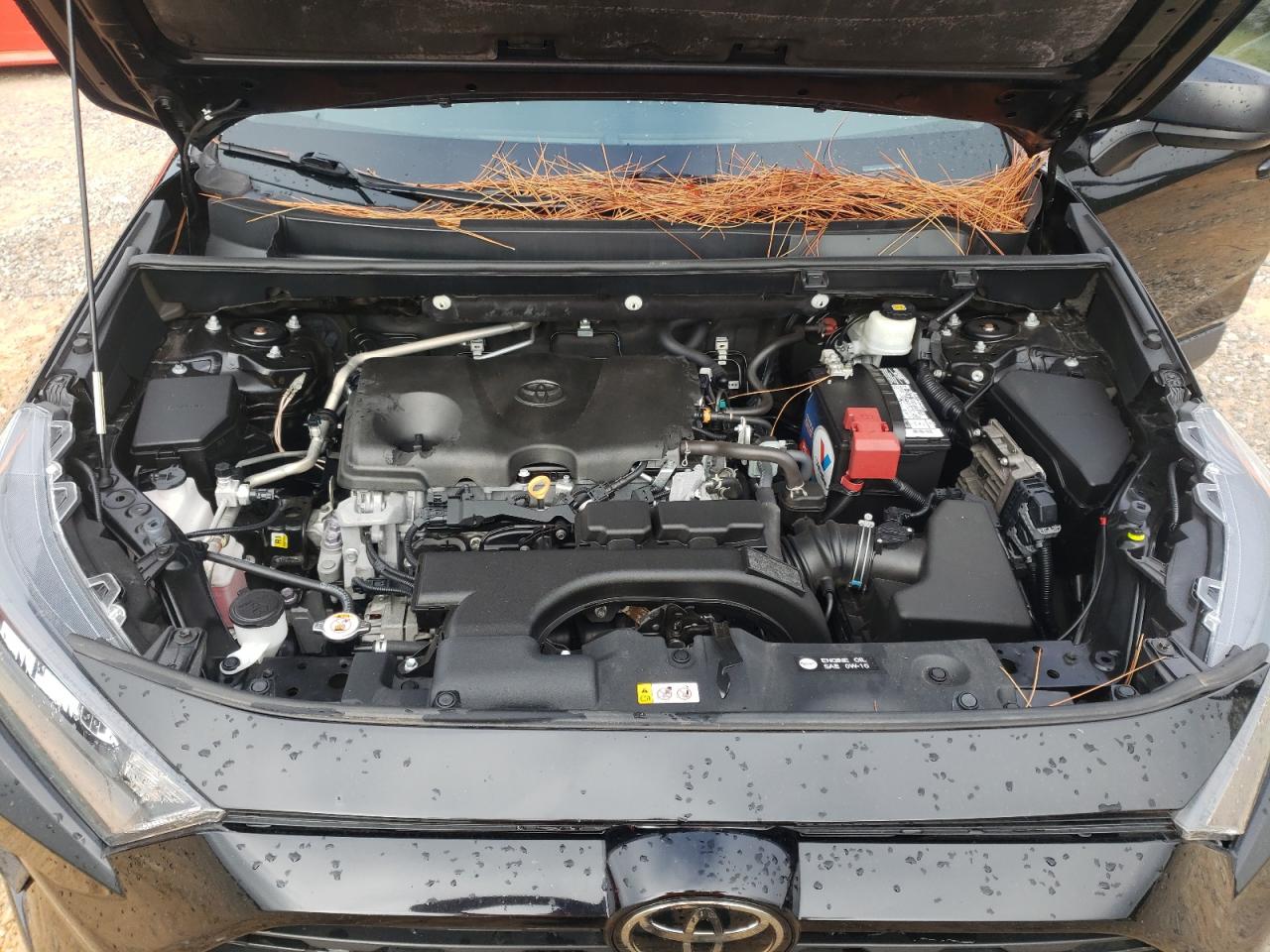 2021 Toyota Rav4 Le VIN: 2T3H1RFV6MC113526 Lot: 85172045