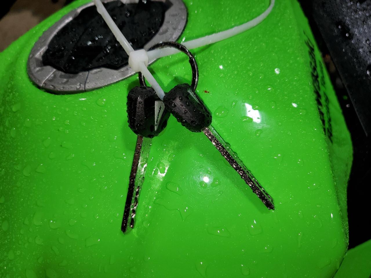 2024 Kawasaki Ex500 H VIN: ML5EXGH1XRDA12473 Lot: 86708885