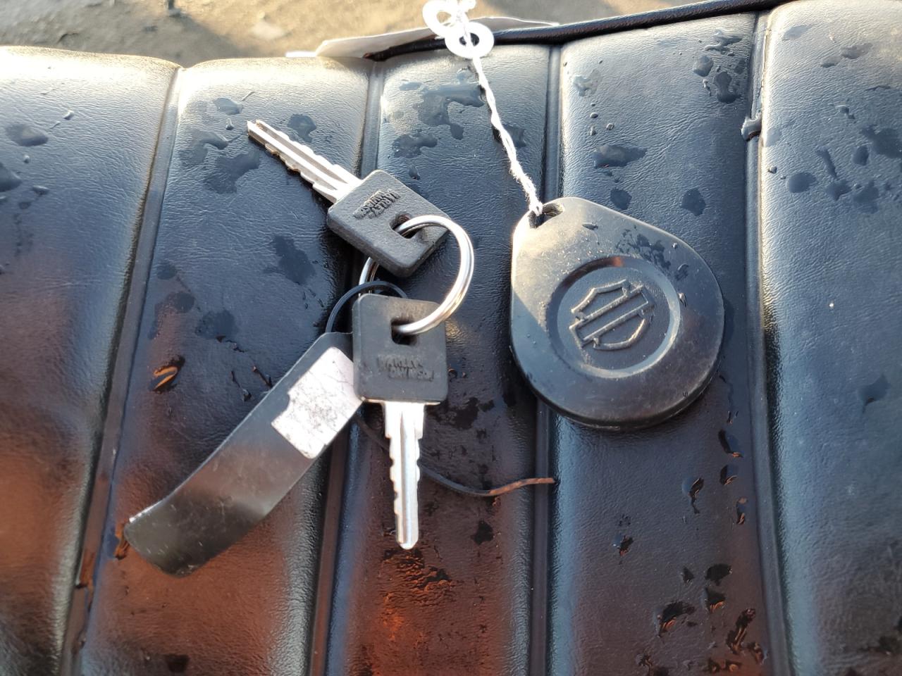 2022 Harley-Davidson Xl883 N VIN: 1HD4LE210NB405782 Lot: 87110545