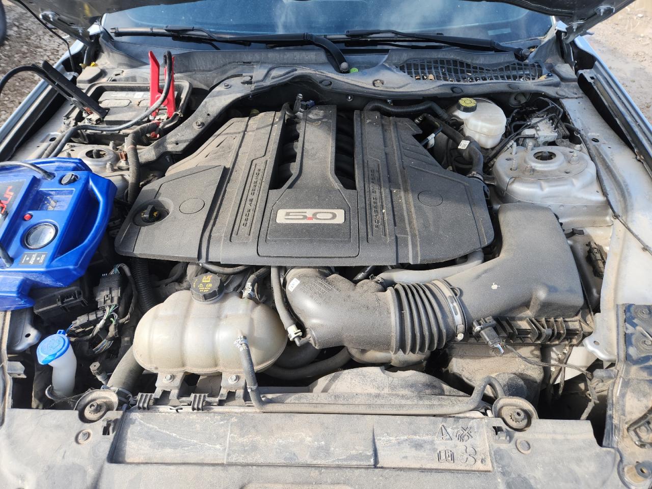 2021 Ford Mustang Gt VIN: 1FA6P8CF1M5125172 Lot: 87119305