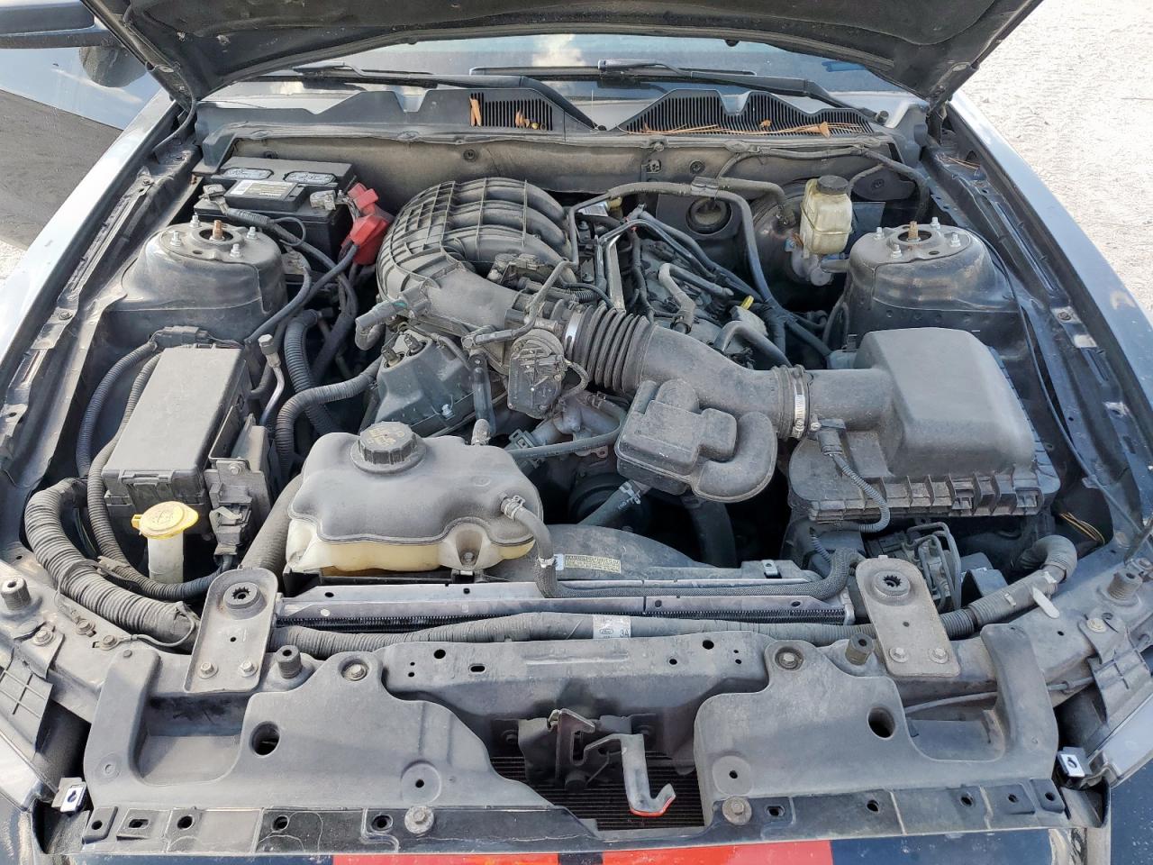 2014 Ford Mustang VIN: 1ZVBP8AM5E5266996 Lot: 81483635