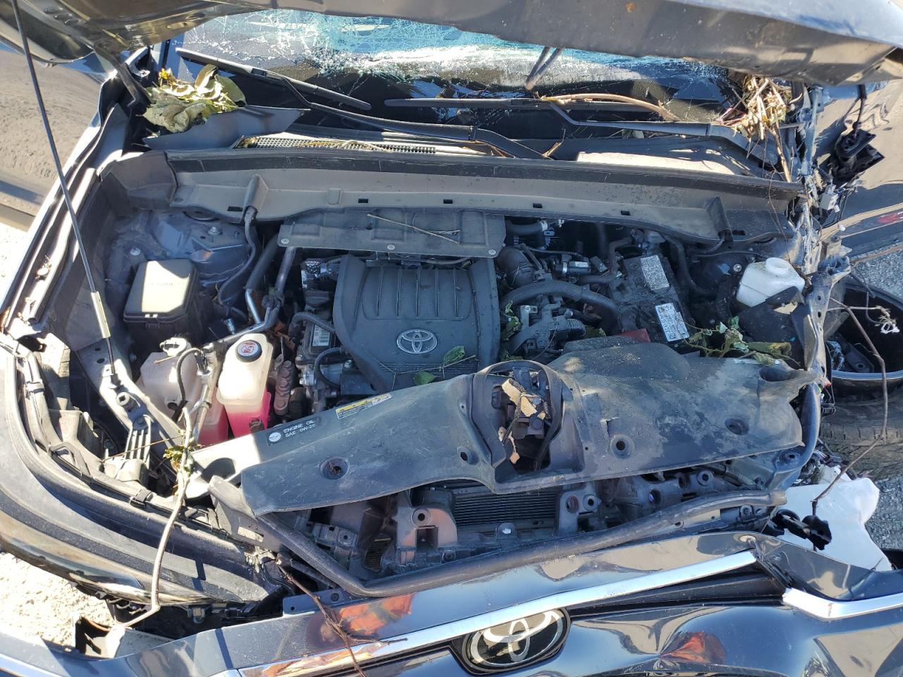 2024 Toyota Grand Highlander Xle VIN: 5TDAAAB52RS043006 Lot: 84996915