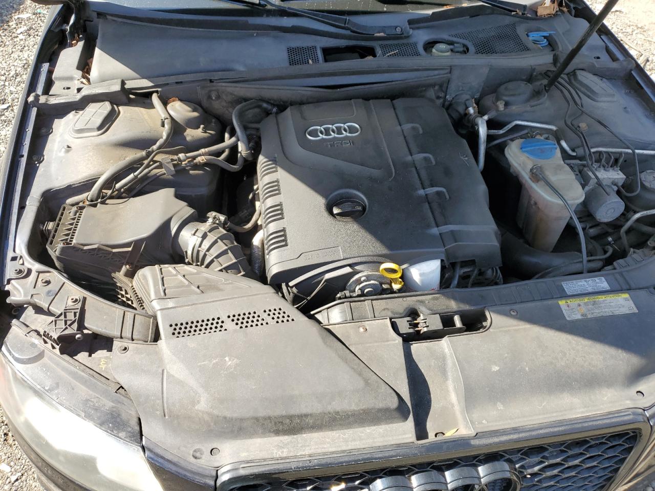 2011 Audi A4 Premium Plus VIN: WAUFFAFL4BN012381 Lot: 85332335