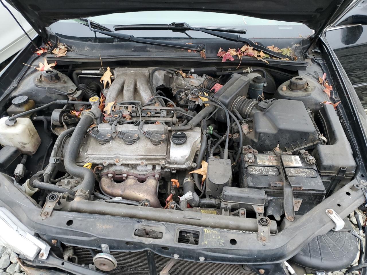 2002 Toyota Avalon Xl VIN: 4T1BF28B22U213550 Lot: 90743545