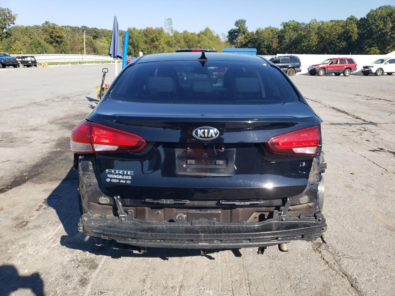 2017 Kia Forte Lx VIN: 3KPFL4A70HE113485 Lot: 86474185