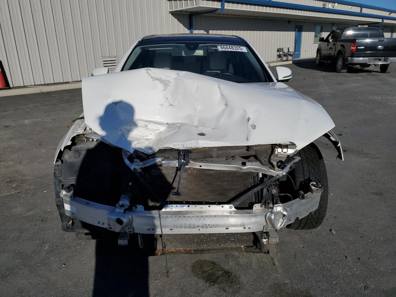 V (W213, S213, C238) V (W213, S213, C238)