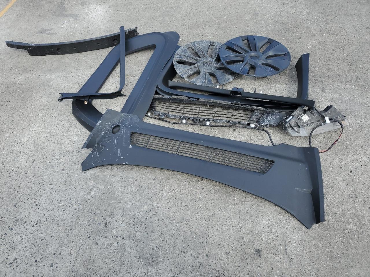 2024 Tesla Model Y VIN: 7SAYGDEE3RF080793 Lot: 86249185