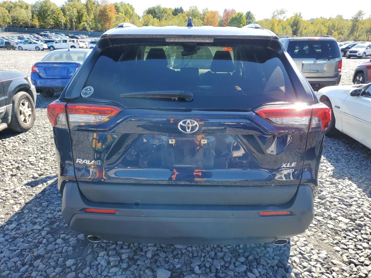 2019 Toyota Rav4 Xle Premium VIN: JTMA1RFV7KD005667 Lot: 82223105