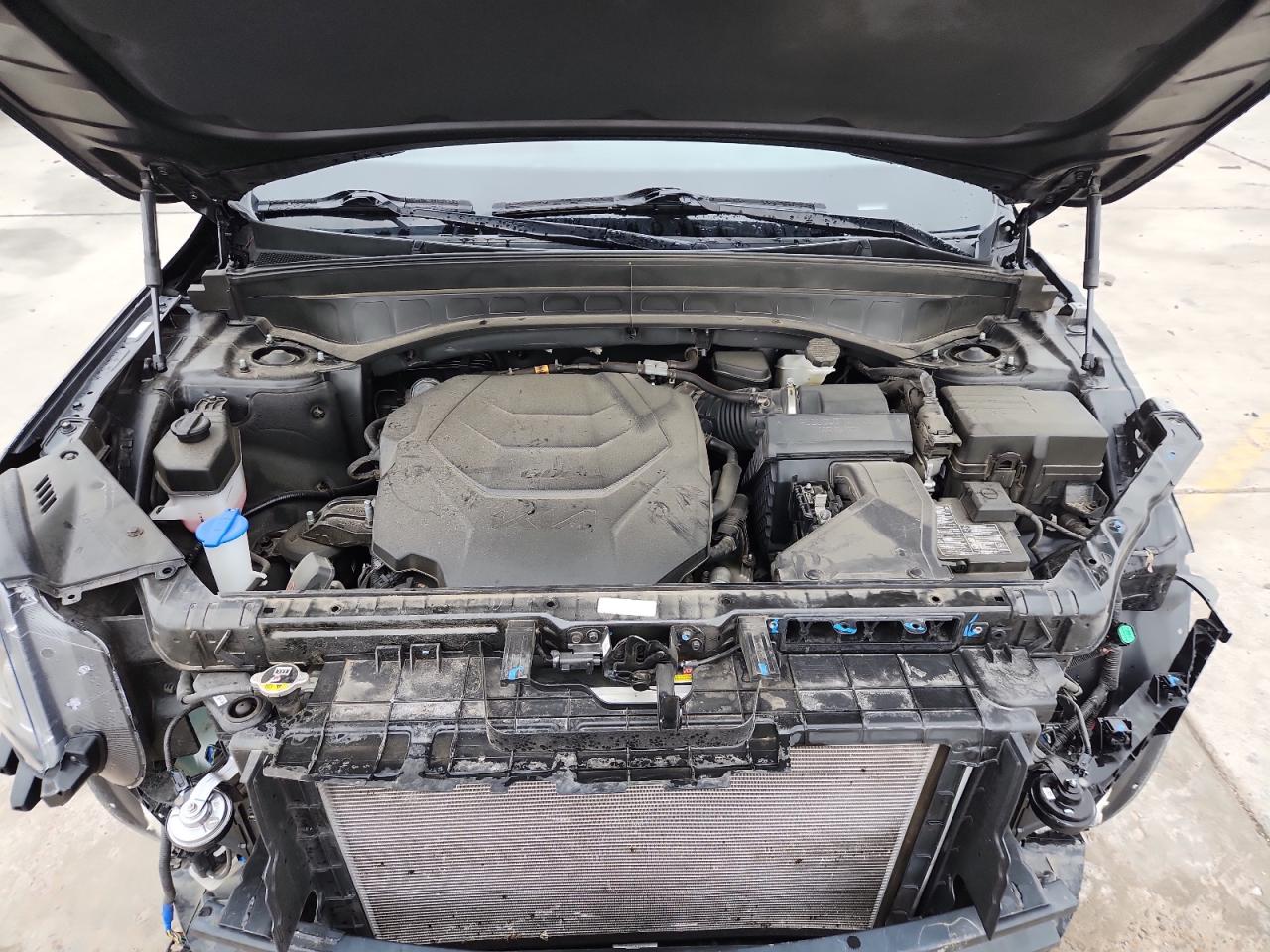 2024 Kia Telluride Sx VIN: 5XYP5DGC5RG413269 Lot: 85135955