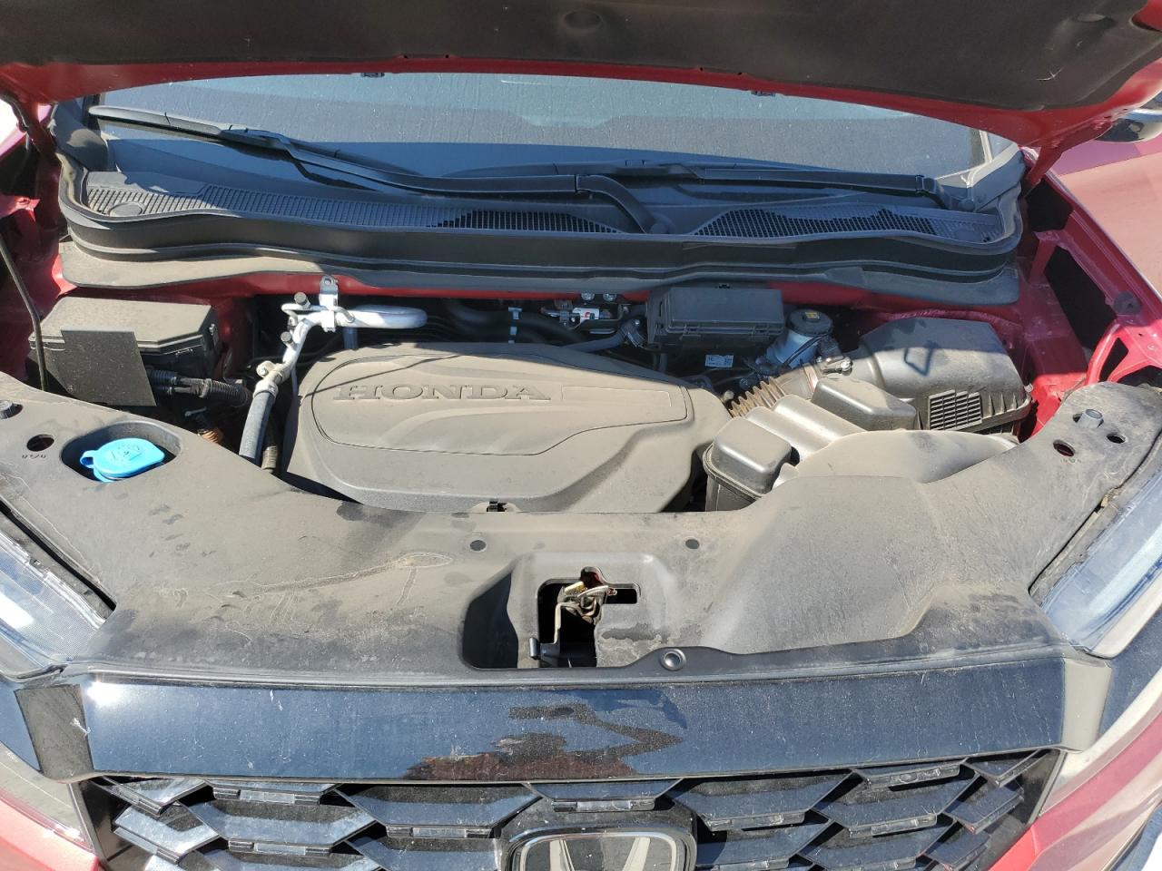 2023 Honda Passport Elite VIN: 5FNYF8H03PB007234 Lot: 81804775