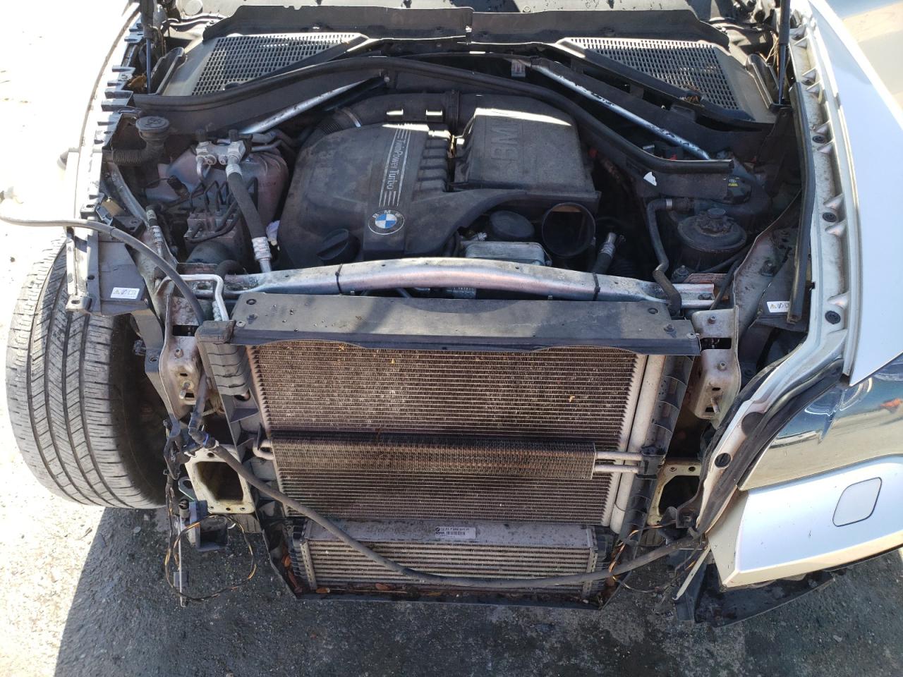 Фото: 5UXFG2C53BLX06341