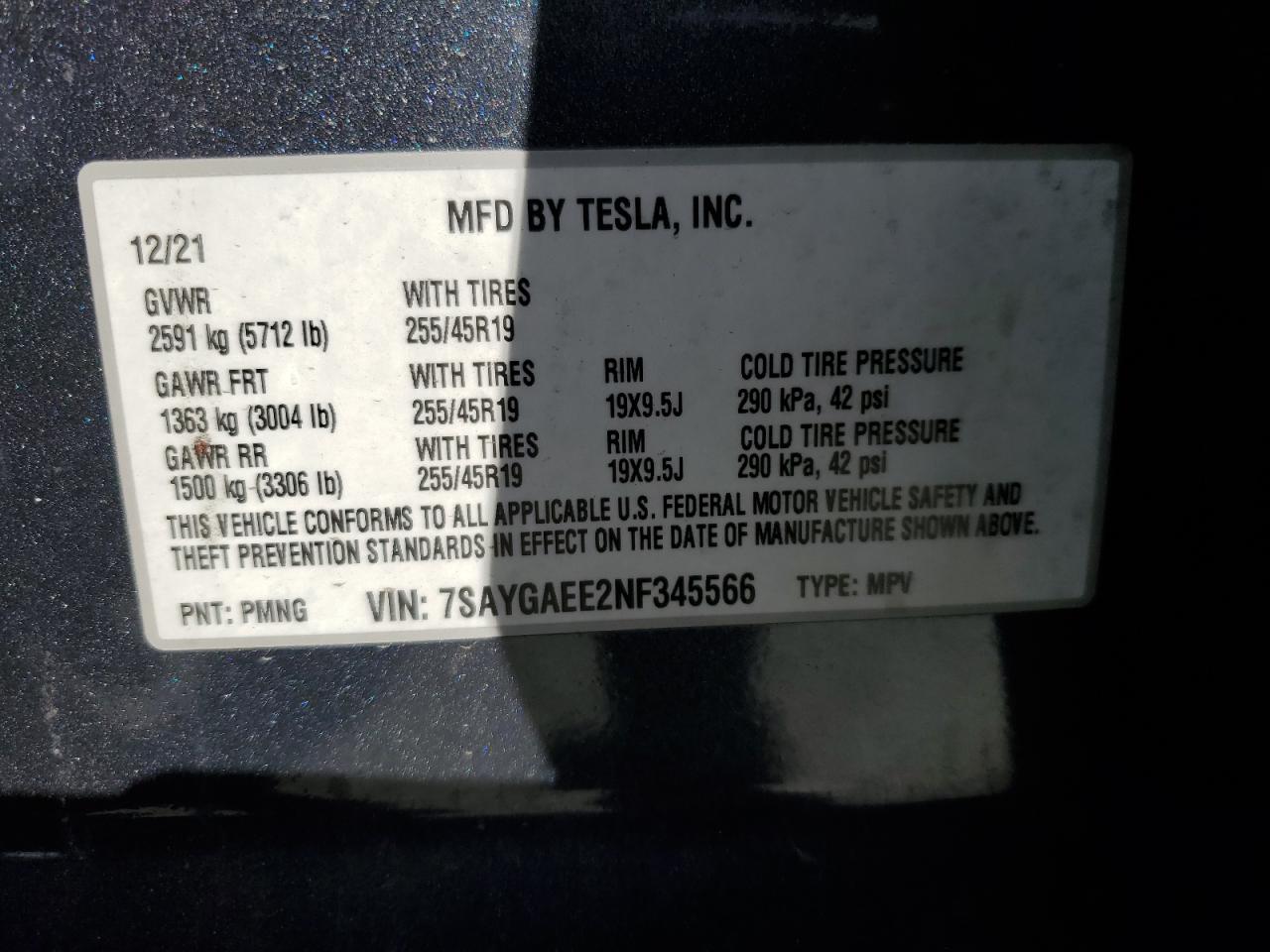 2022 Tesla Model Y VIN: 7SAYGAEE2NF345566 Lot: 81694405