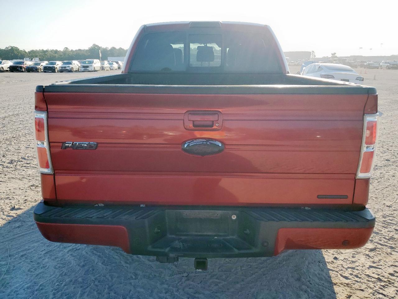 2013 Ford F150 Supercrew VIN: 1FTFW1CF3DFA29168 Lot: 85181065