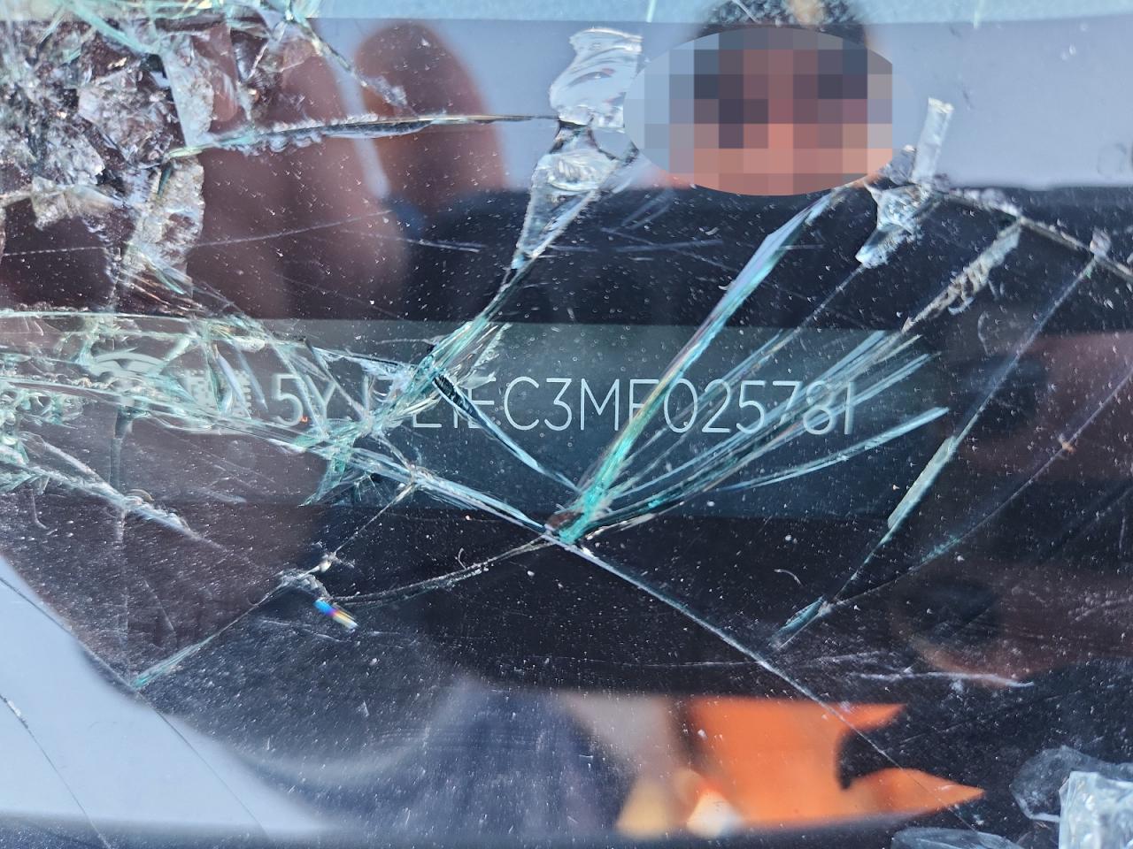 2021 Tesla Model 3 VIN: 5YJ3E1EC3MF025781 Lot: 85923965