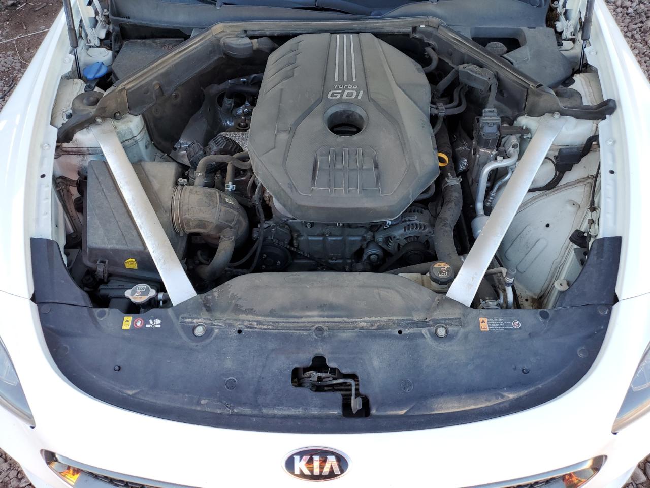 2020 Kia Stinger VIN: KNAE15LA4L6076596 Lot: 81948795