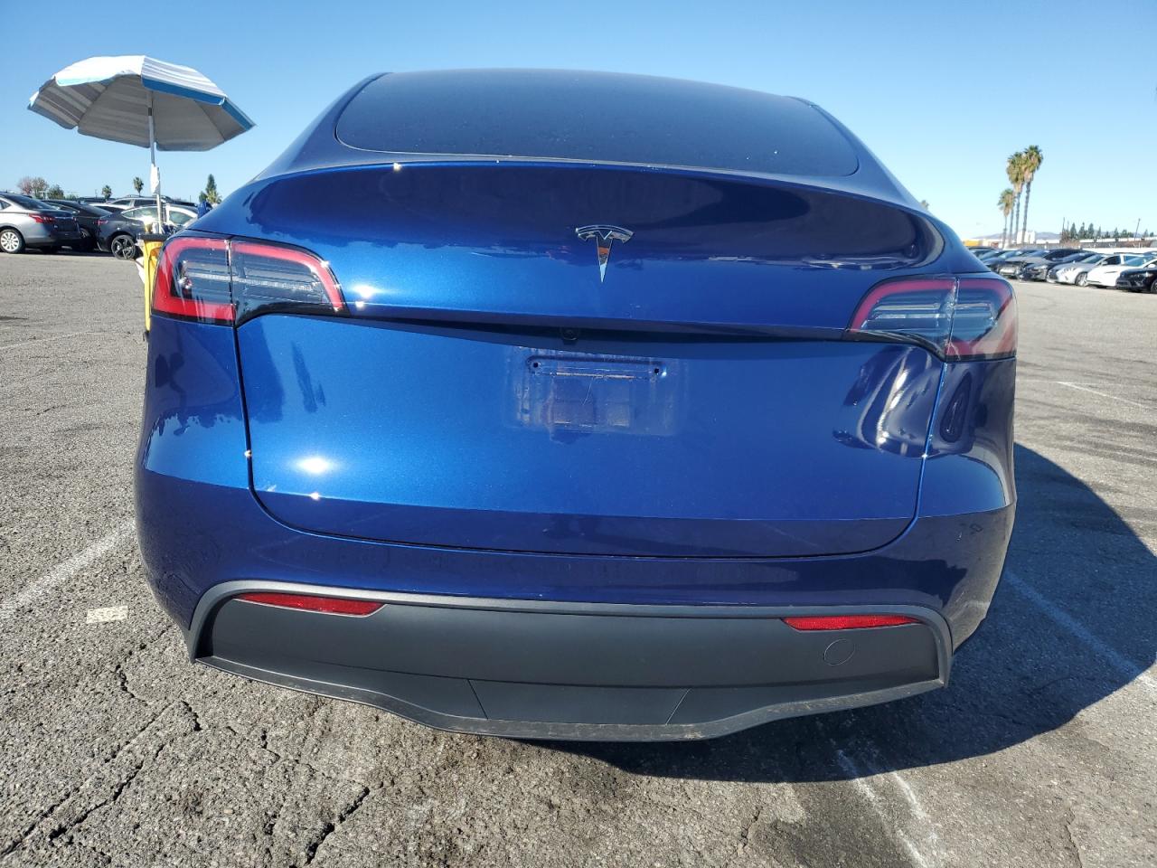 2025 Tesla Model Y VIN: 7SAYGDED4SF254366 Lot: 85208025