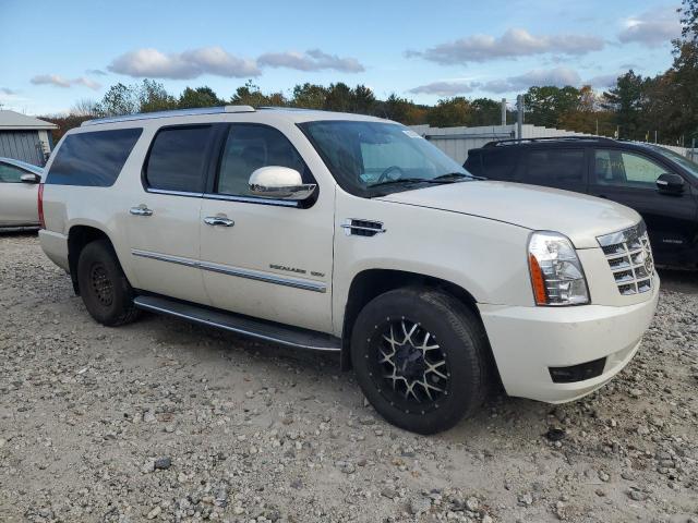 Parquets CADILLAC ESCALADE 2013 White
