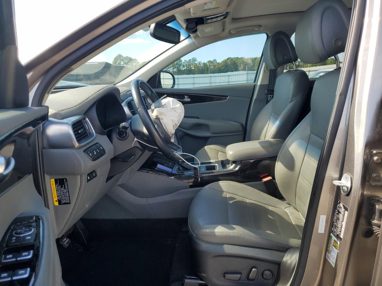 2016 Kia Sorento Ex VIN: 5XYPH4A10GG125851 Lot: 82376405