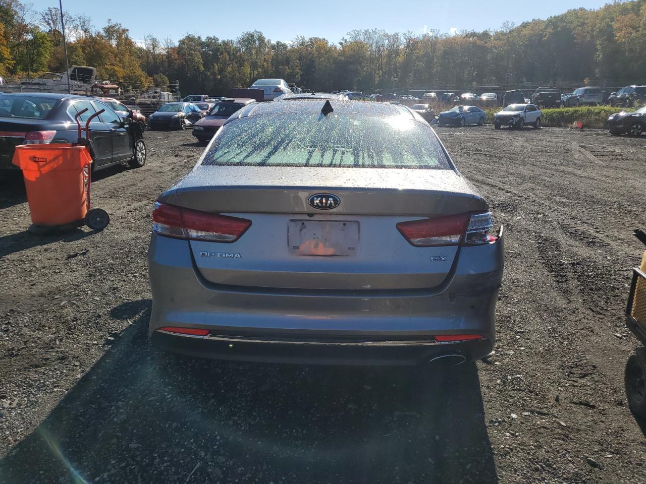 Optima Optima