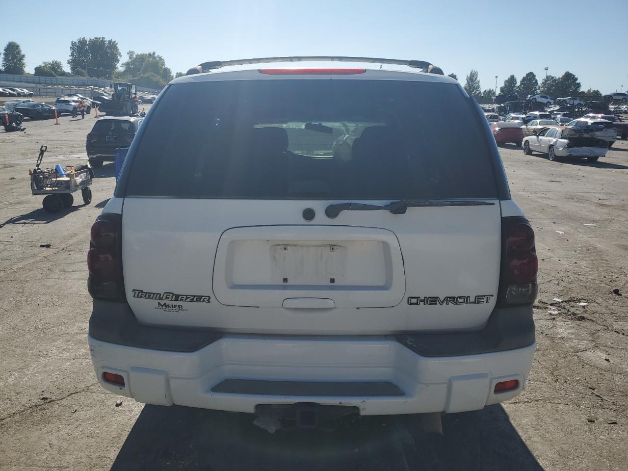 2002 Chevrolet Trailblazer VIN: 1GNDT13S522493720 Lot: 85363675