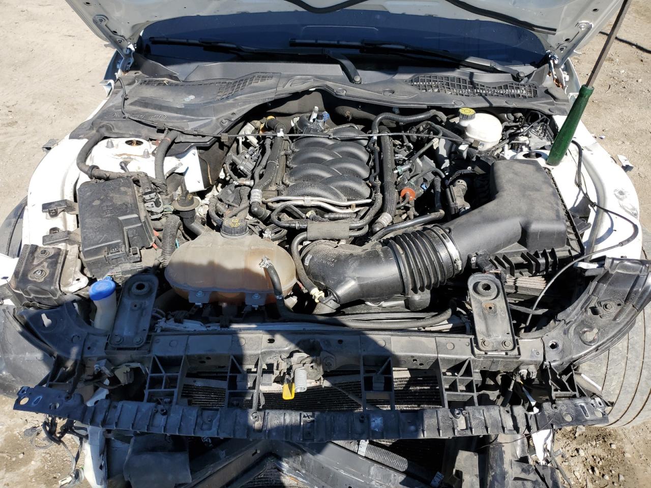 2020 Ford Mustang Gt VIN: 1FA6P8CF9L5111681 Lot: 82591055