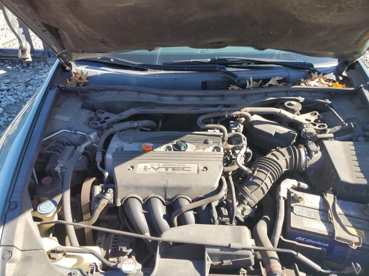 2009 Honda Accord Exl VIN: 1HGCP26869A004452 Lot: 85484175