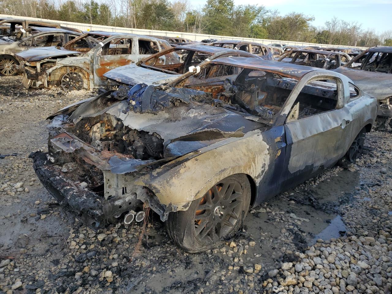 2014 Ford Mustang blue null gas 1ZVBP8AM5E5291073 photo #1