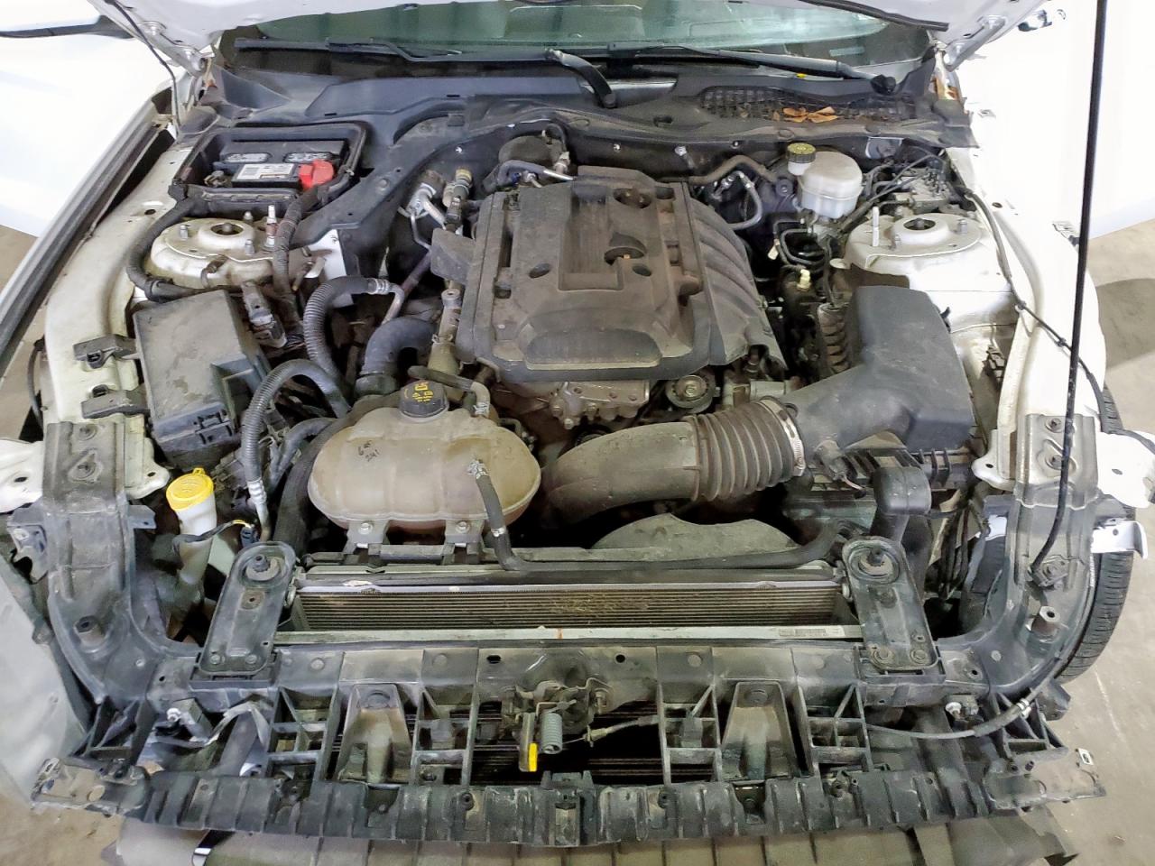 2019 Ford Mustang VIN: 1FA6P8TH4K5197112 Lot: 81953405