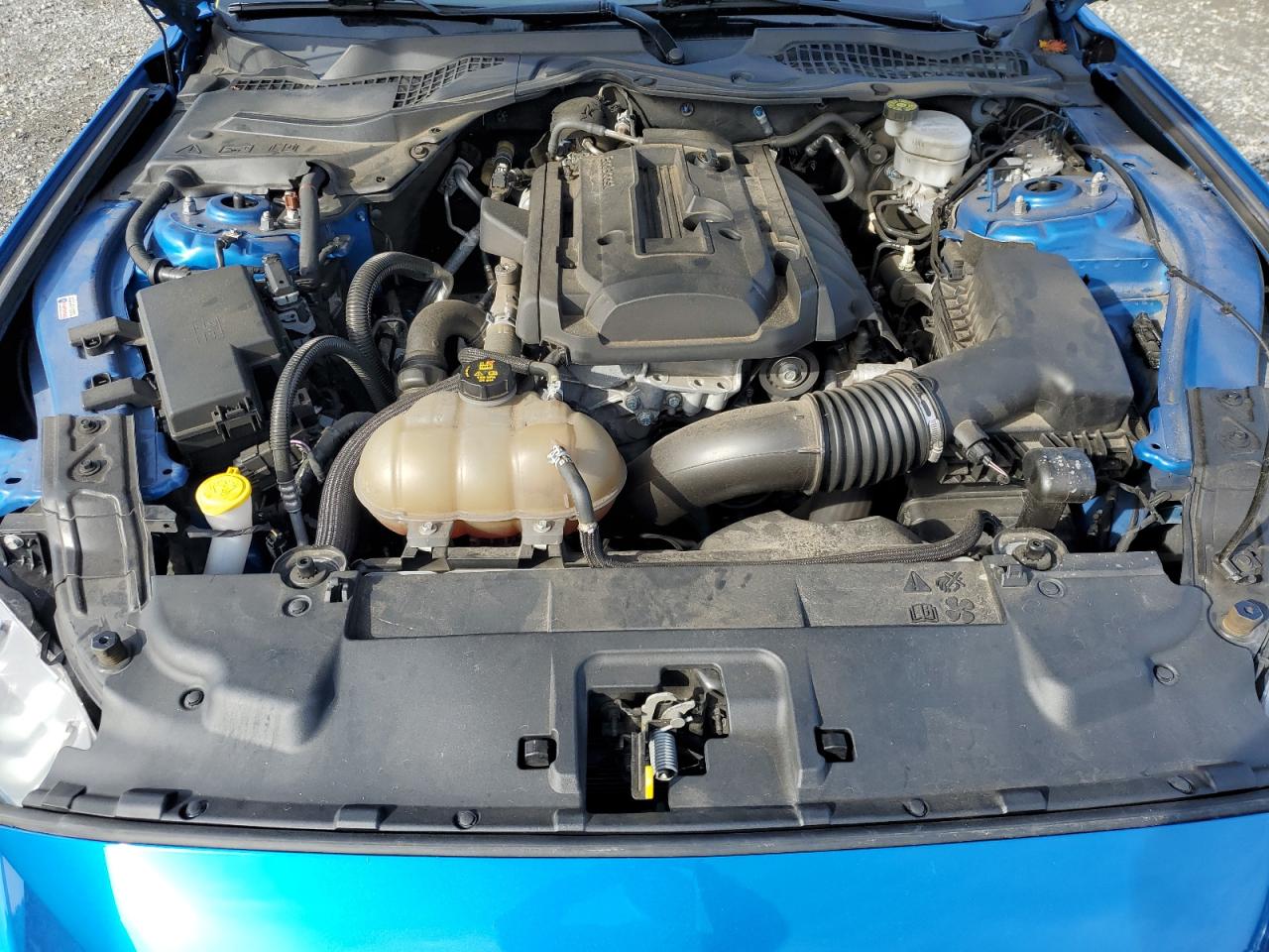 2019 Ford Mustang VIN: 1FA6P8TH6K5197872 Lot: 81871605